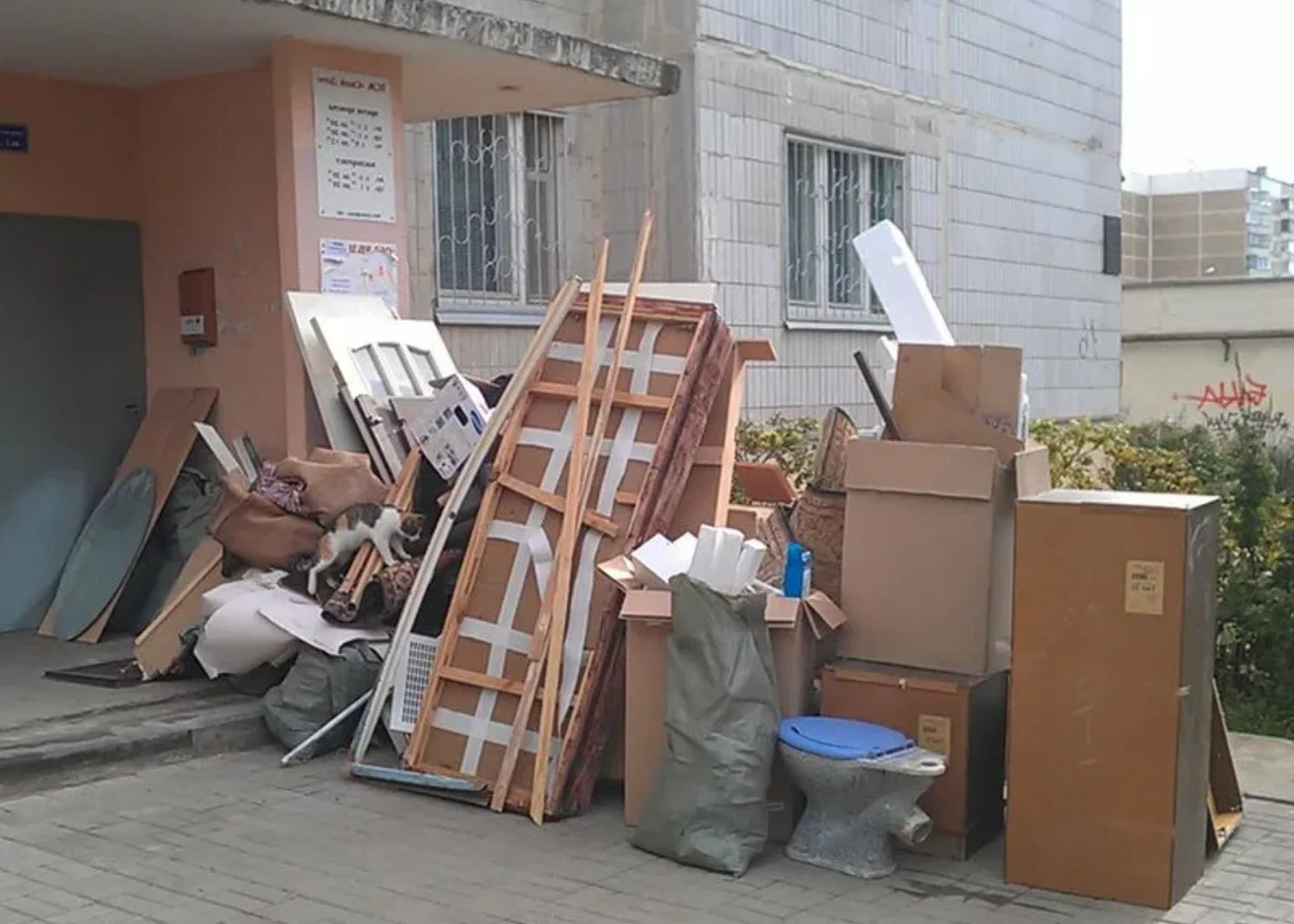 Профессиональный вывоз мусора из квартиры в Чусовой в октябре