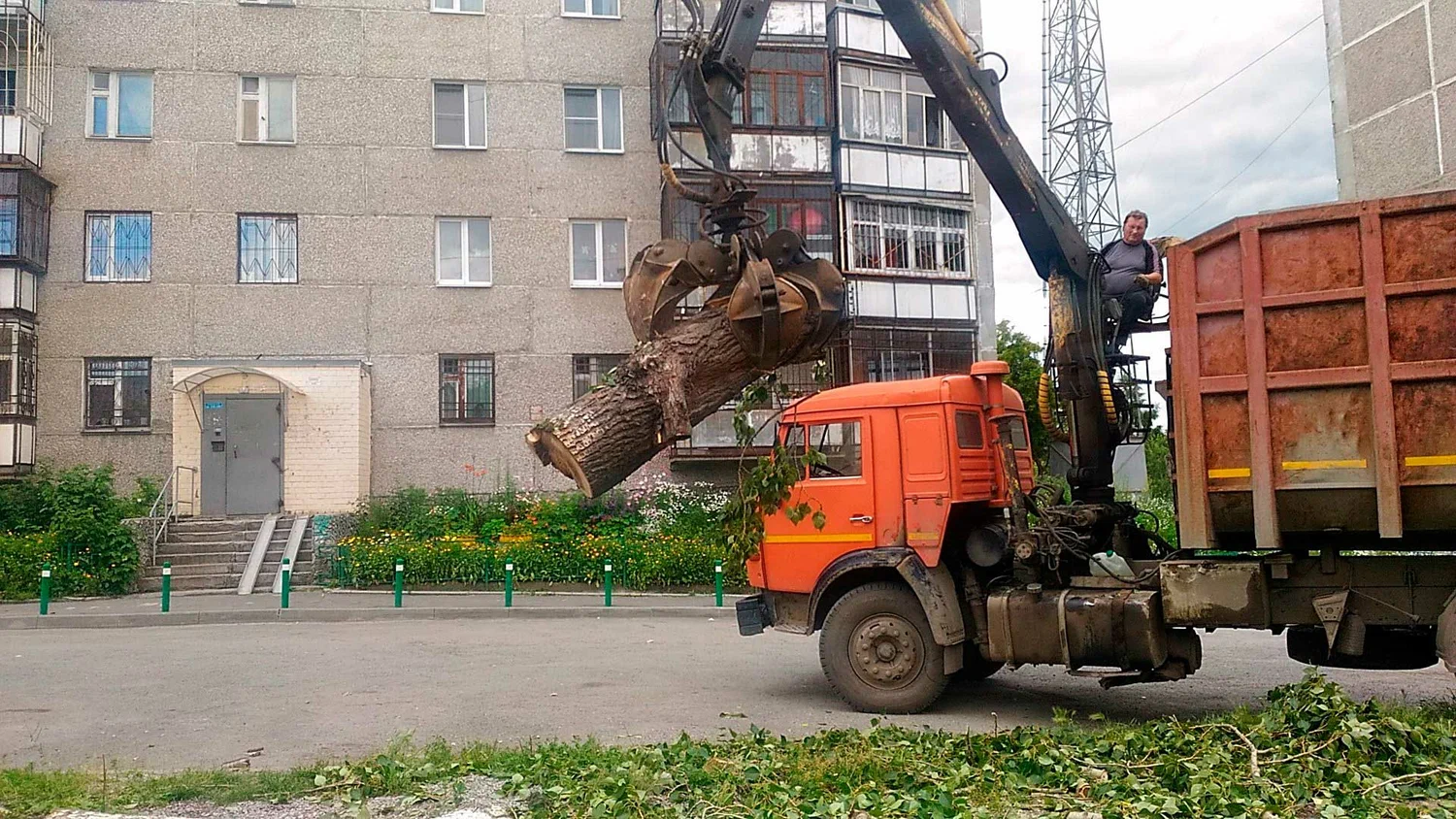 Вывоз спиленных веток и деревьев в Чусовой от ПроМусор: порубочные остатки, утилизация, цена от 3030 руб