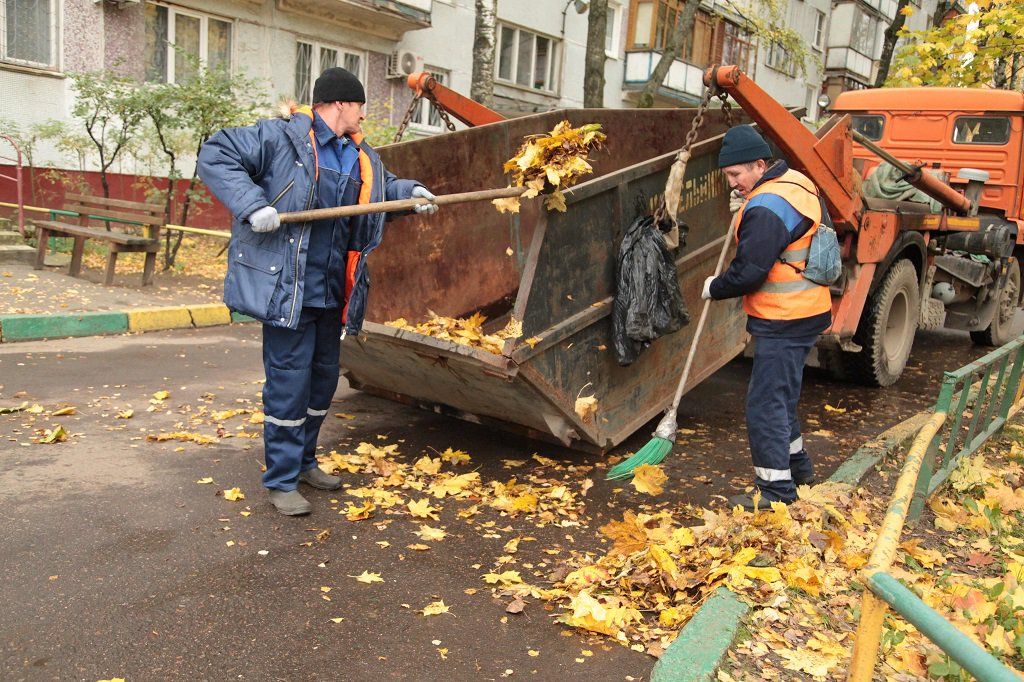 Вывоз опавшей листвы и растительного мусора в Чусовой от ПроМусор – цена от 4702 руб., быстрая уборка и утилизация